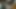 彼をからかう継子のコックを吸う