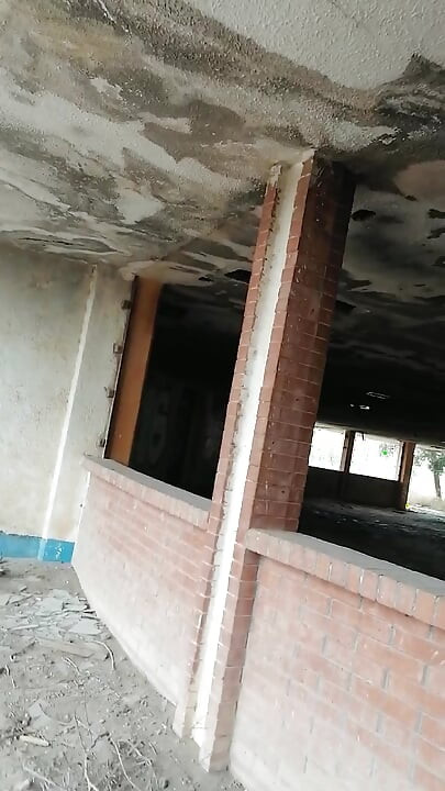 À la recherche d’une bite