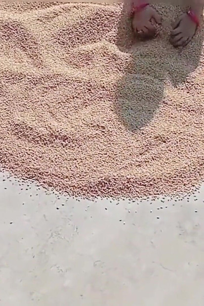 Desi selo jebanje seks video