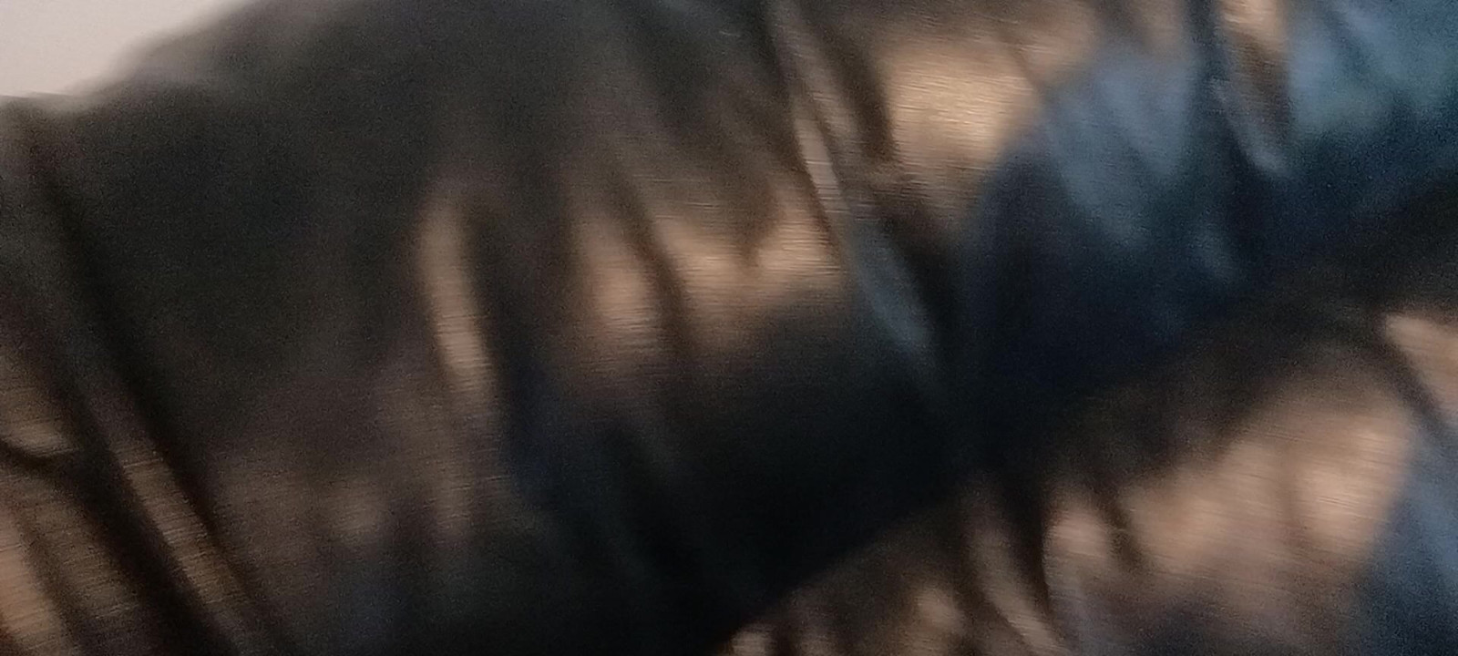 Sadece hızlı bir tane