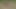 Black Beefy Hardcore Anal Sex Lost into the Forest
