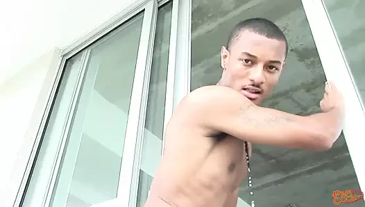 Ninja Nixon