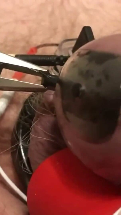 Estim BDSM Cumpilation Part 1 - Seğreyen sik ve taşakların boşalması | Clip 2
