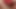 My Cocks