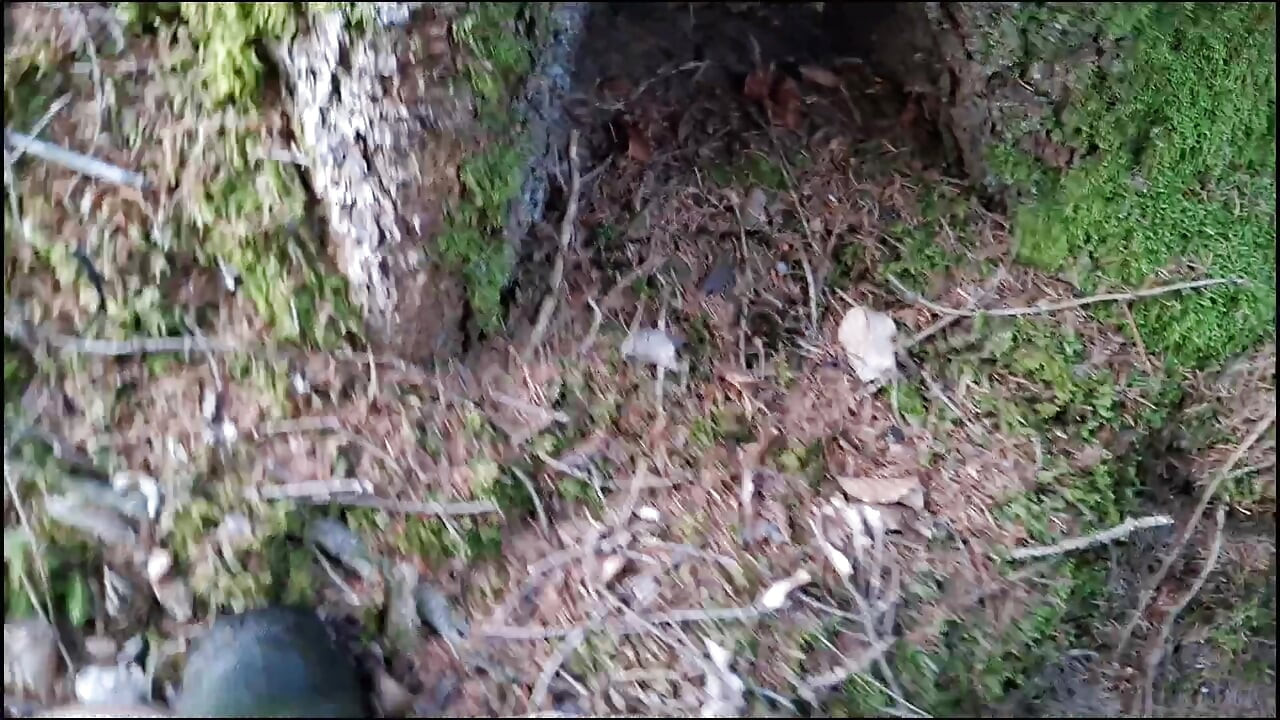 Teen masturbates riskily in the forest