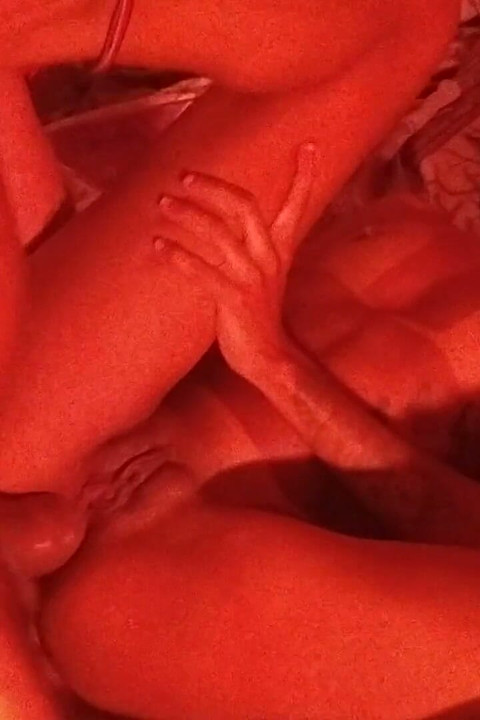 A Lesbian Who Enjoys Anal Sex.