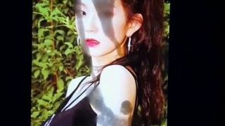 Red Velvet Irene Cum Tribute 2