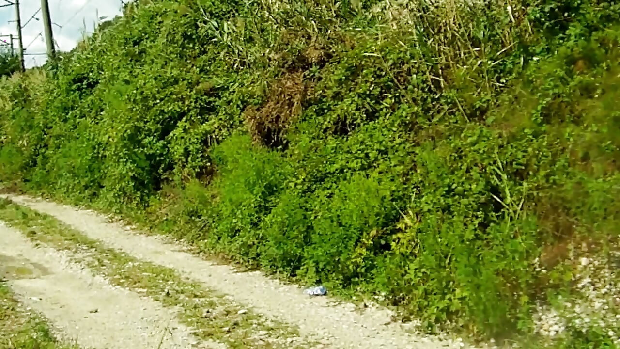 My teen stepdaughter gave me a delicious blowjob while we were walking by the sea