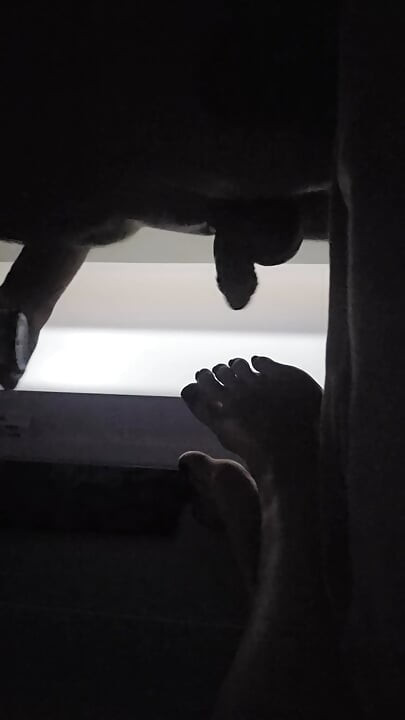 Sucking toes