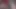 Video ElizaBerry_
