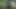 狡猾なフォレスターがアクション5に戻ってきました