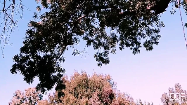 Pink Sissy Cock Slut - Sissy