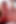 Harika nymphos flower tucci ve luscious lopez üçlü anal seks yapıyor