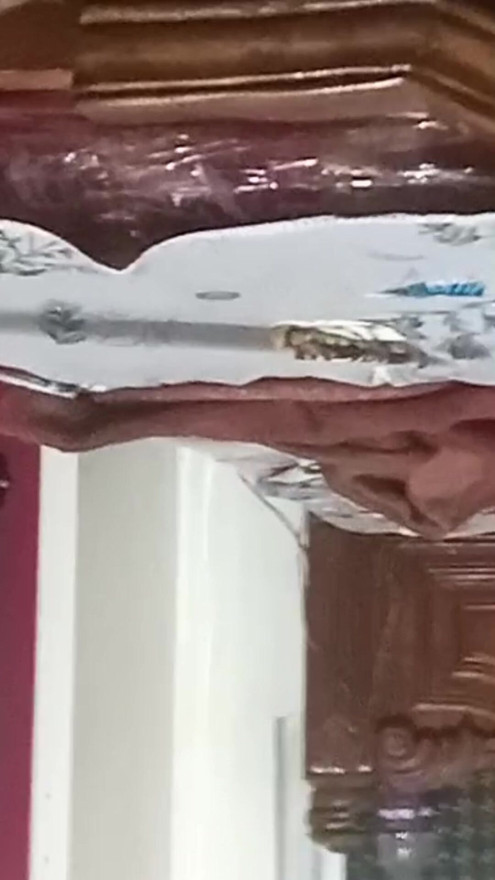 Horny gay..loves to fuck
