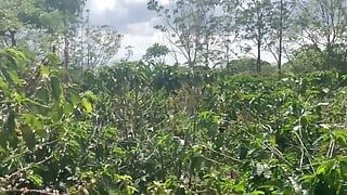Playing in the Coffee Plantation, It's Not Harvest Time but It's Deep Throat Time