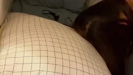 Lulu Wild - On Halloween, my stepsister was dressed as a Playboy bunny and I had to have sex with her.