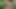 Petershentai Intense Sex Hot Big Ass Tasty Sweet Hot Ass Doggy Style Swallowing Cum Sissy Whore Pregnant with Cum