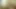 Cam Cum: Hung Daddy Milks Cock for Creamy Load