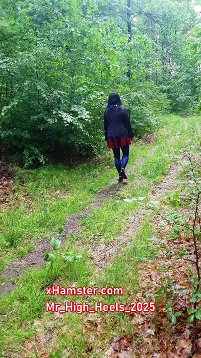 Short run in the forest June