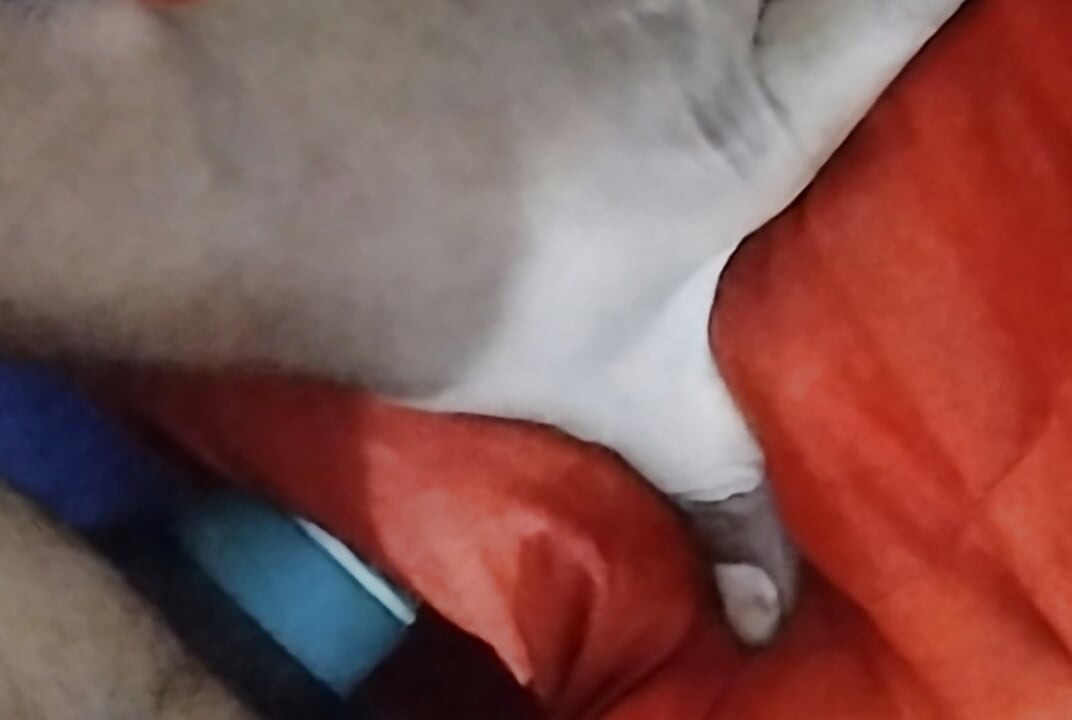 Indiano garoto vídeo