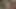 Fitness young guy is masturbating in the shower after gym