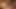Delhi üniversite öğrencileri sikişiyor videosu