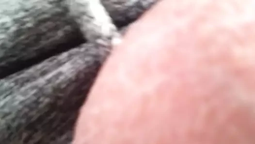 horoz dışarı taşaklar bağlı