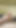 Young dick close up and cum, masturbation pov, cum dick pov, sperm