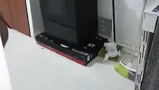 Ich ficke die heiße und saftige muschi meiner ehefrau, 18 jahre alte brünette junge frau, super heiß