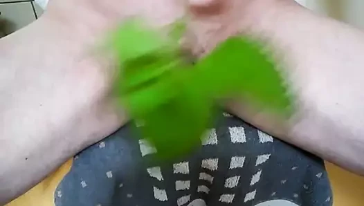 ısırgan otu içinde ve üzerinde benim horoz