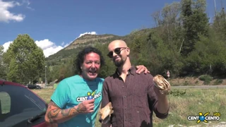 Bread and Potato