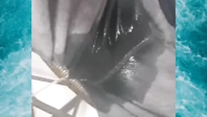 In die hose gepisst