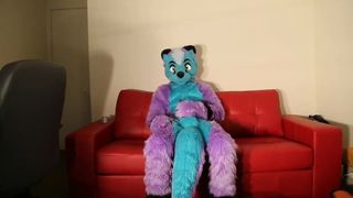 Guy in Murrsuit Paws Off onto a Table