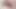 MUSHROOM UNCUT COCK