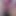 Göt tıkacı dildo yakın çekim boşalıyor