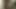 Dicke Titten, BBW lutscht zwei junge BBCs