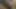 Alman güzellik güzel yüzüne spam alıyor