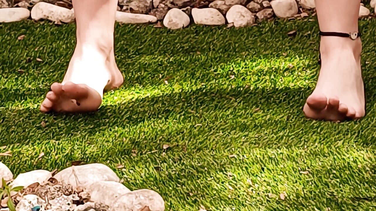 Gâdilă în grădina mea