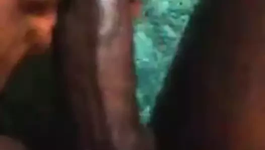 Büyük siyah yarak