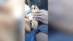 Pratinjau video