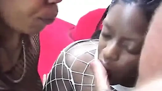 Kontol putih besar dalam gemuk hitam seksi... Di mulut aja