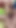 Aldatan karımı bangla sesli xxx affairs__Desi gizli seks yaparken yakaladım | Klip 2