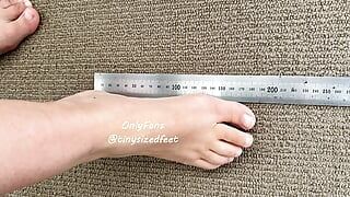 定規や家庭用品に対するTinySizedFeetの測定