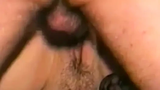 Classic Porn DVDs New Scene Upload