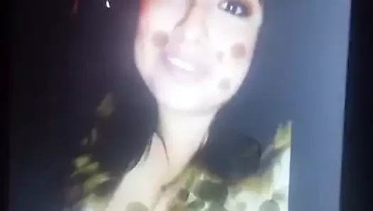 Loidaa döl haraç