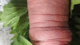 Cock nettles torture and stretching urethra