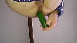 zucchina solo