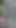 Bangladeshi Park Sex video in September 2025 | Clip 1