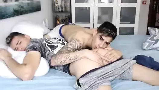 Nice Gay Twinks fucks on cam