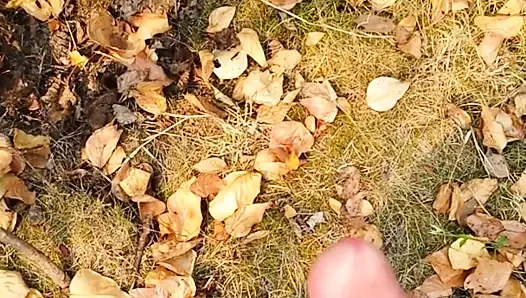 cumming dışında